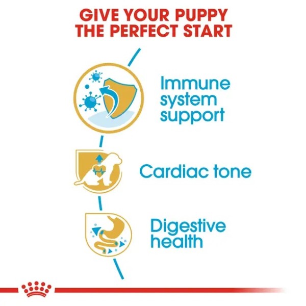 Royal Canin Cavalier King Charles Puppy - Суха храна за подрастващи кавалер кинг чарлз шпаньоли - 1.5 кг